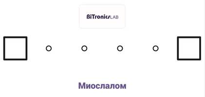 Поле для соревнования «Миослалом» BiTronics Lab